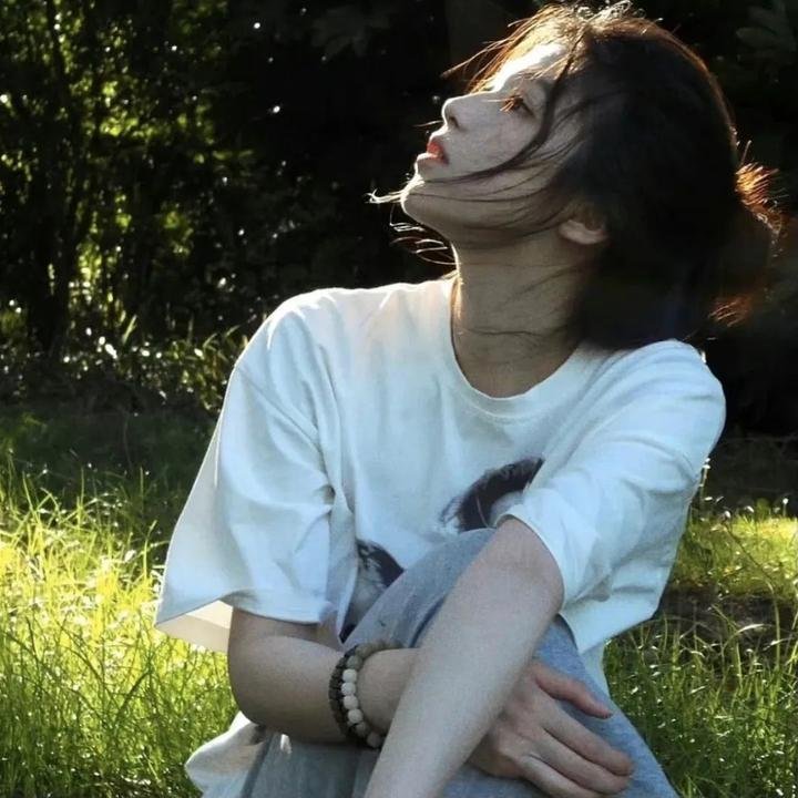 同志梦幻号